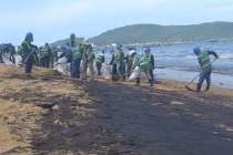 Dầu loang biển Quy Nhơn khiến ngư dân “khóc ròng“