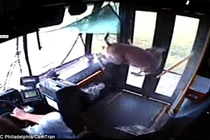 Kinh hoàng nai phi thân “tàn phá” xe bus