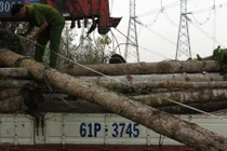 Mất điện toàn miền Nam: Thêm 2 đối tượng liên quan