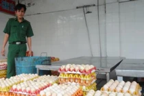 Bắt hơn 3000 quả trứng gà thối trên đường đi tiêu thụ