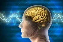 Lý giải việc người học giỏi, kẻ dốt đặc cán mai