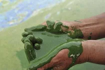 Dân Trung Quốc sôi sục về “làng ung thư” 