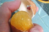 Cận cảnh trứng gà chứa... chất dẻo gelatin