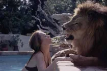 Những thú cưng “quái đản” của các quý cô