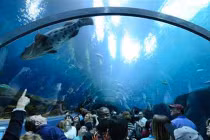 Những “ngôi nhà động vật” ấn tượng nhất thế giới