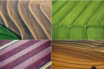 Ảnh đẹp chụp từ không trung các trang trại ở Mỹ