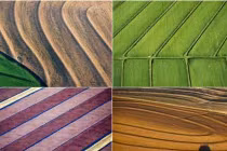 Ảnh đẹp chụp từ không trung các trang trại ở Mỹ