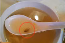 Kinh hãi vì phát hiện gián chình ình trong bát súp
