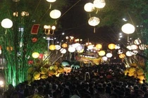 TP.HCM: Tưng bừng khai mạc đường hoa Nguyễn Huệ