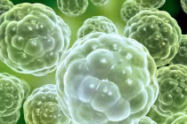 Sự sống có trước khi Trái đất hình thành 5,5 tỷ năm