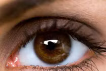 Vì sao chúng ta lại nháy mắt nhiều