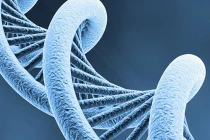 Những cuộc cạnh tranh khốc liệt trong giới khoa học