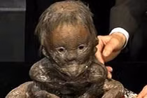 Sốc với những sinh vật kỳ lạ “hiếm có khó gặp“