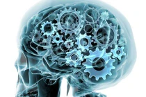 Phương pháp độc đáo dự đoán thời điểm... con người chết