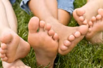 Kỳ lạ: Muỗi độc nghiện mùi... chân thối