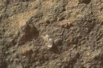 “Hoa nở” trên sao hoả hay bao cao su của người ngoài hành tinh?