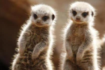 4K, công nghệ khiến các loại tivi HD, 3D bị bỏ xó