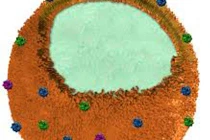 Vật liệu mới giúp lọc chất độc ra khỏi máu