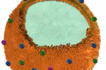 Vật liệu mới giúp lọc chất độc ra khỏi máu