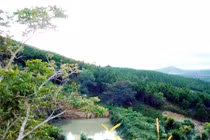 Giật mình vì đất Hà Nội bán rẻ như mớ rau