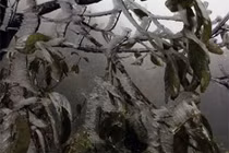 Cận cảnh băng tuyết phủ trắng Sa Pa