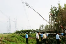 “Mất điện toàn miền Nam“: Ai sẽ phải bồi thường thiệt hại?