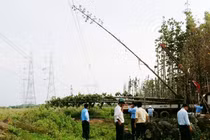 “Mất điện toàn miền Nam“: Ai sẽ phải bồi thường thiệt hại?