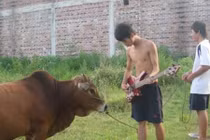 Một cách định nghĩa khác về “dân chơi“