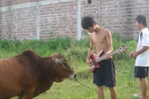 Một cách định nghĩa khác về “dân chơi“