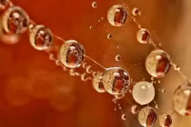 Những giọt nước lung linh