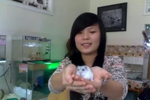 Loài chuột lạ đứng như người hút hồn teen Việt