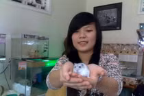 Loài chuột lạ đứng như người hút hồn teen Việt