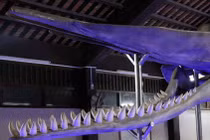 Cận cảnh linh vật lạ trong đền thờ VN