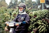 Chùm ảnh: “Xin chào Việt Nam” của phó nháy Australia 