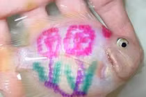 Rộ mốt chơi cá cảnh “xăm trổ” của dân chơi Việt