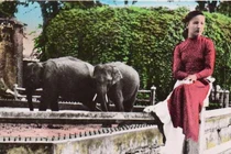 Ảnh màu hiếm, “độc” về Thảo Cầm Viên một thế kỷ trước