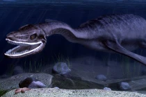 Chuyện ly kỳ về “thủy quái hình rắn” ở Việt Nam