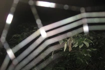 Lạnh gáy vì... “ảnh ma” chấn động Việt Nam