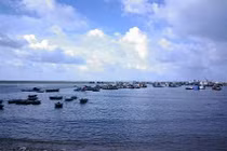 Tìm kiếm CASA 212: Xác minh danh tính thi thể mới phát hiện