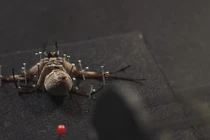 Công dụng kỳ diệu từ tơ nhện tái tạo cơ thể người