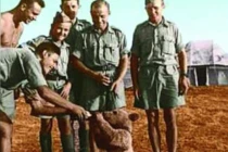 Những sự thật không ai ngờ về CTTG 2