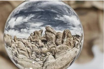 Linh vật nào tốt nhất để chiêu tài năm Bính Thân? 