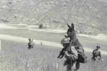 Những bức ảnh dị và lạ nhất về Thế chiến 2