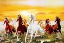 Giải mã tính cách và vận hạn người tuổi Ngọ