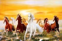 Giải mã tính cách và vận hạn người tuổi Ngọ