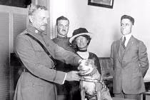 Kỳ diệu những động vật anh hùng trong chiến tranh