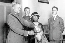 Kỳ diệu những động vật anh hùng trong chiến tranh