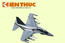 Infographic: Sức mạnh Không quân Nhân dân Việt Nam (3)