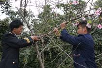 Cận cảnh không khí đón Tết ở trạm radar canh biển