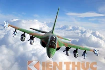 Infographic: Máy bay huấn luyện Yak-130 VN có thể mua